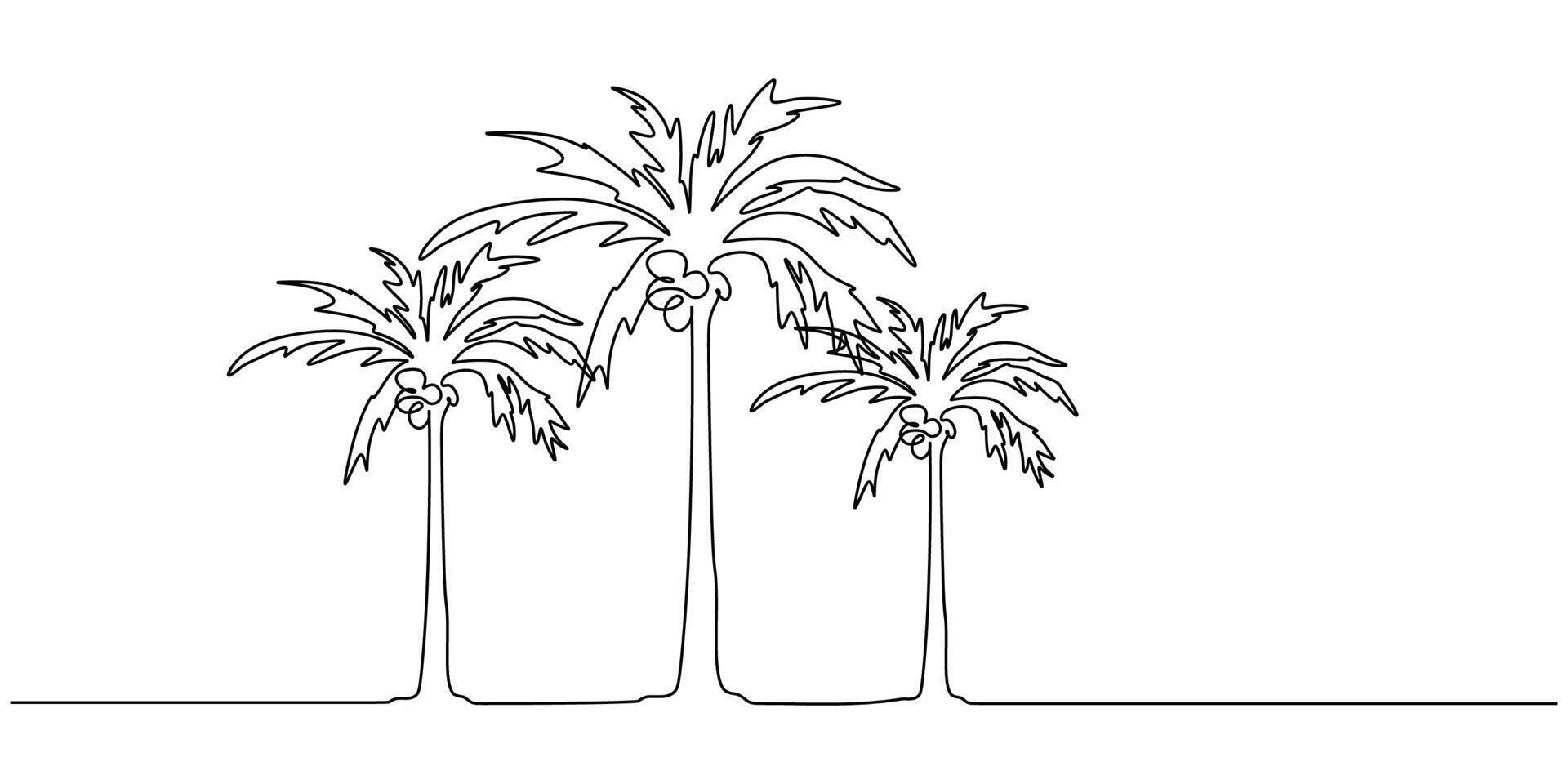 Beach Palm Trees Coconut vector