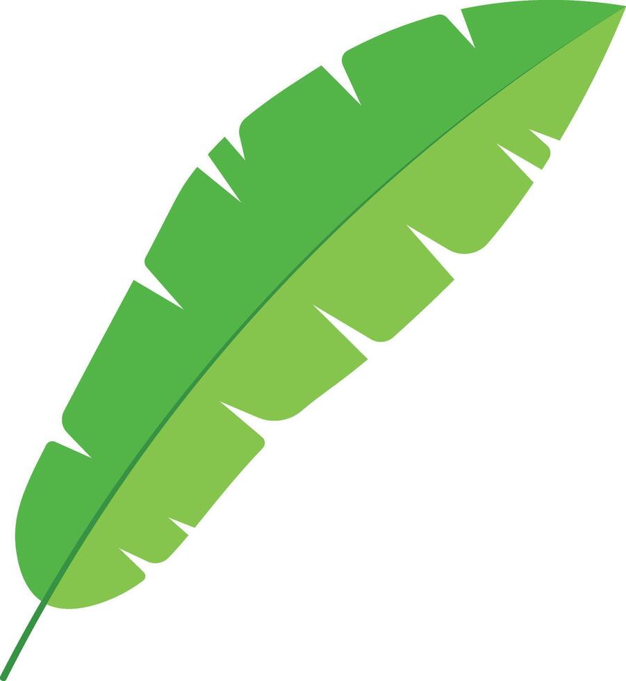 Green Tropical Leaves with Flat Design vector