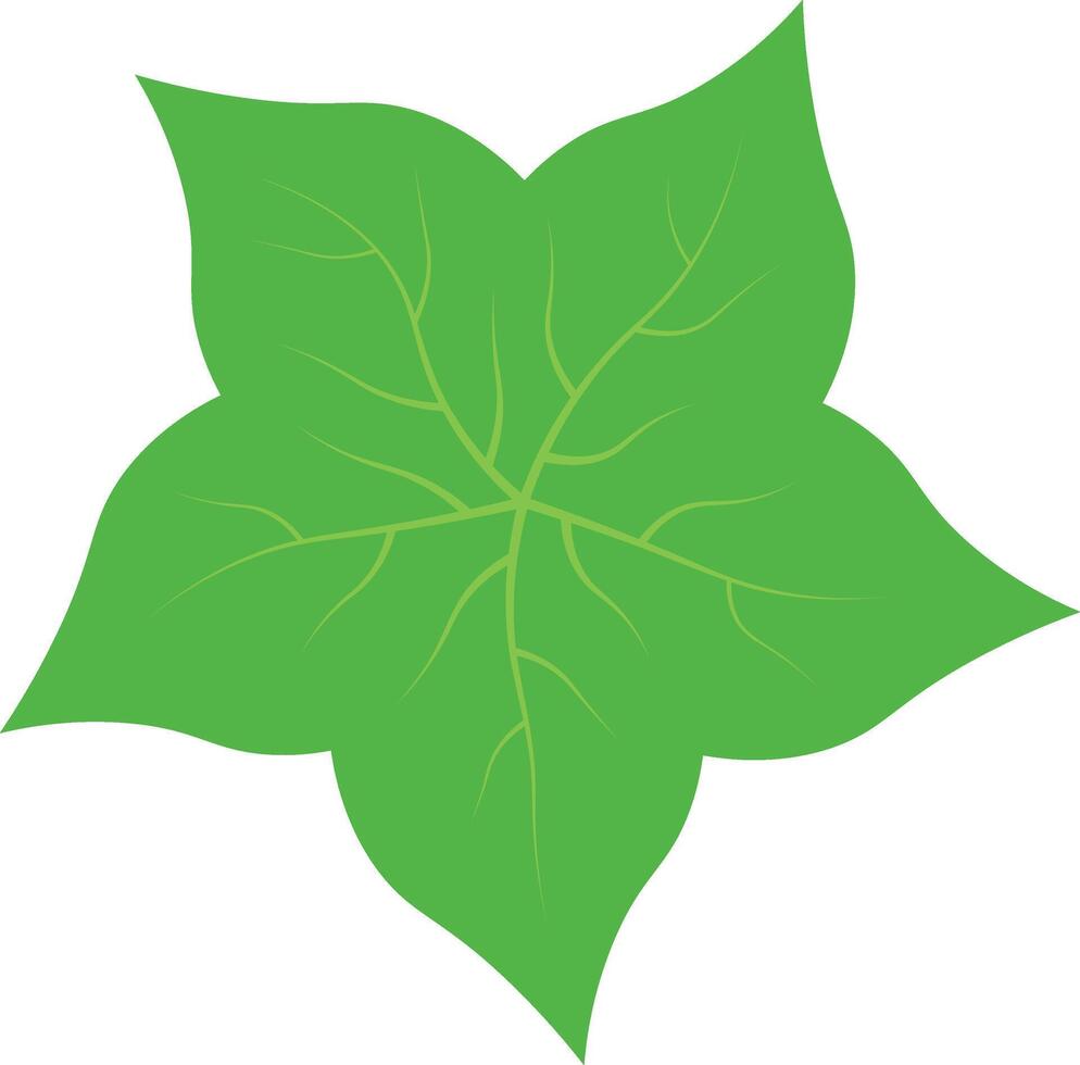 Green Tropical Leaves with Flat Design. vector