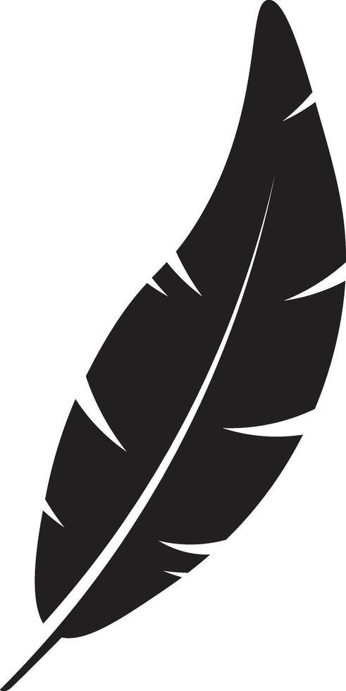 Curved Feather Silhouette. Isolated on White Background. vector