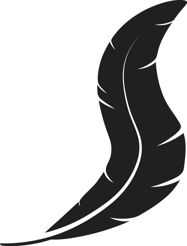 Curved Feather Silhouette, Isolated on White Background. vector