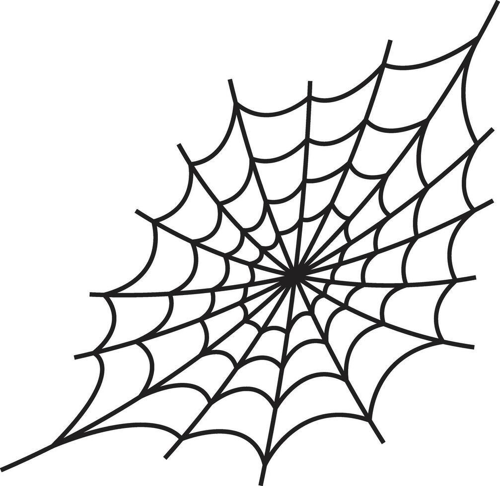 Spider Web Decoration in Flat Design. vector