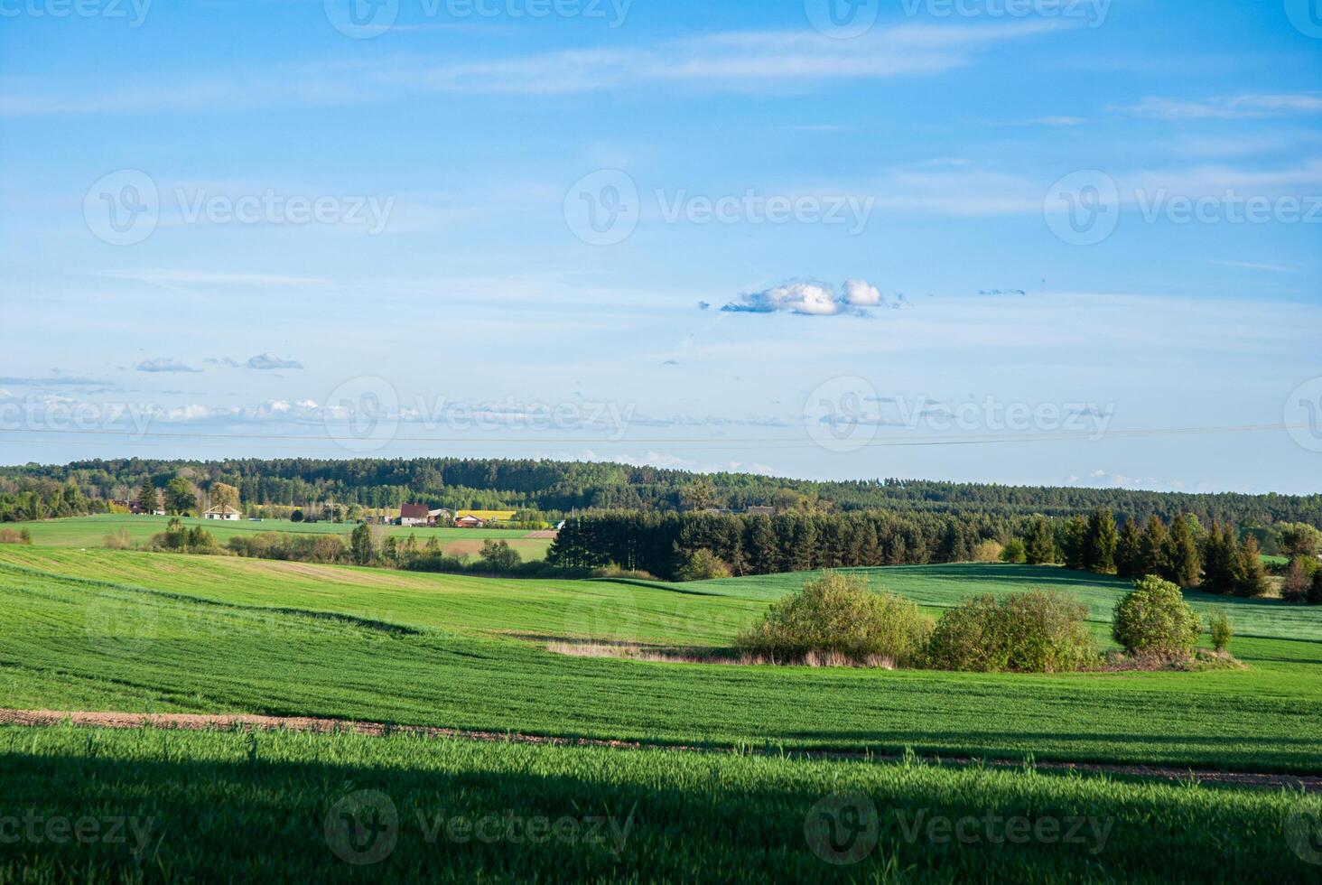 Rolling hills and lush green fields under a clear blue sky with scattered clouds in a picturesque rural landscape setting photo