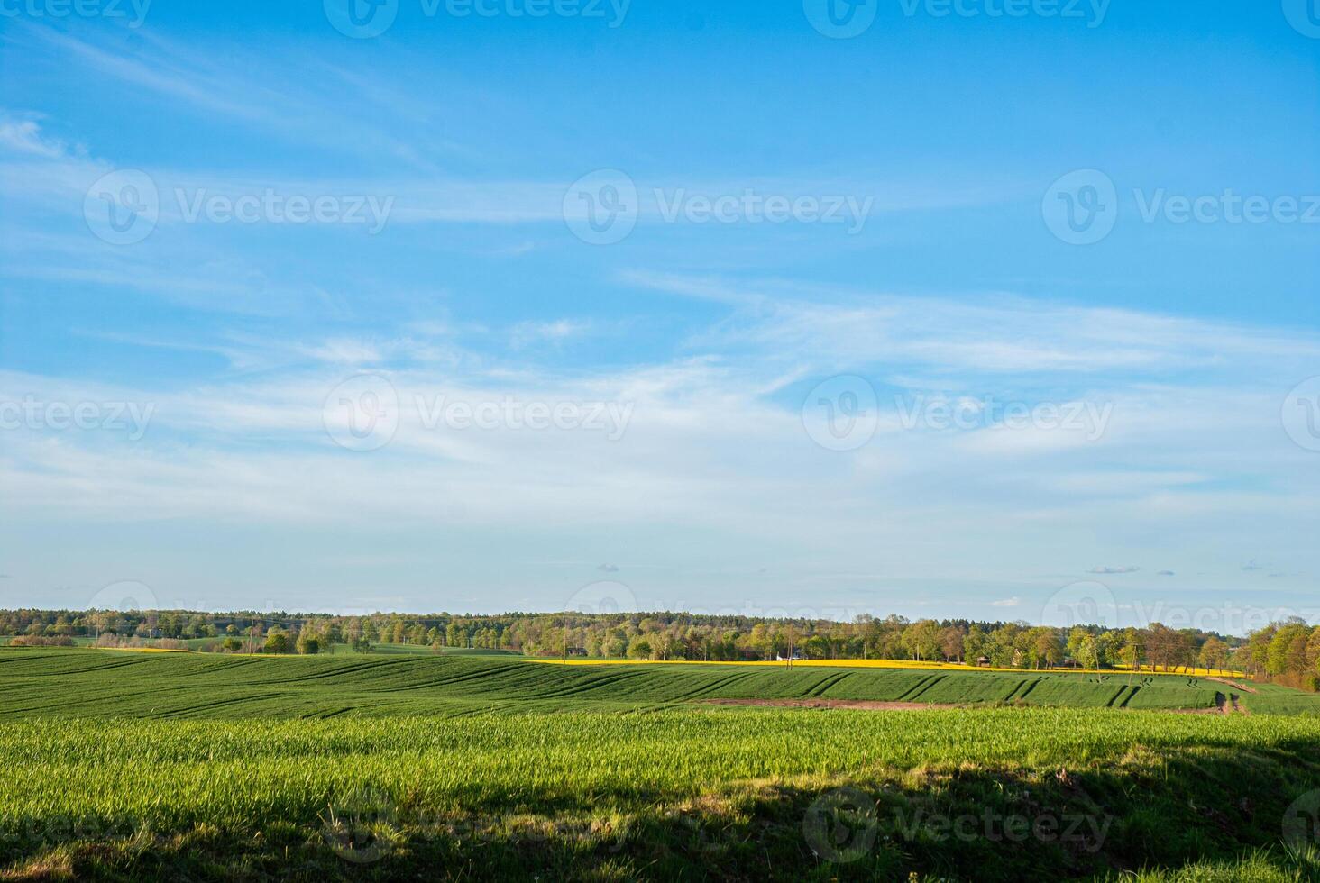 Expansive green farmland under a clear blue sky with verdant fields and lush vegetation on a sunny day capturing the serenity of nature's beauty photo