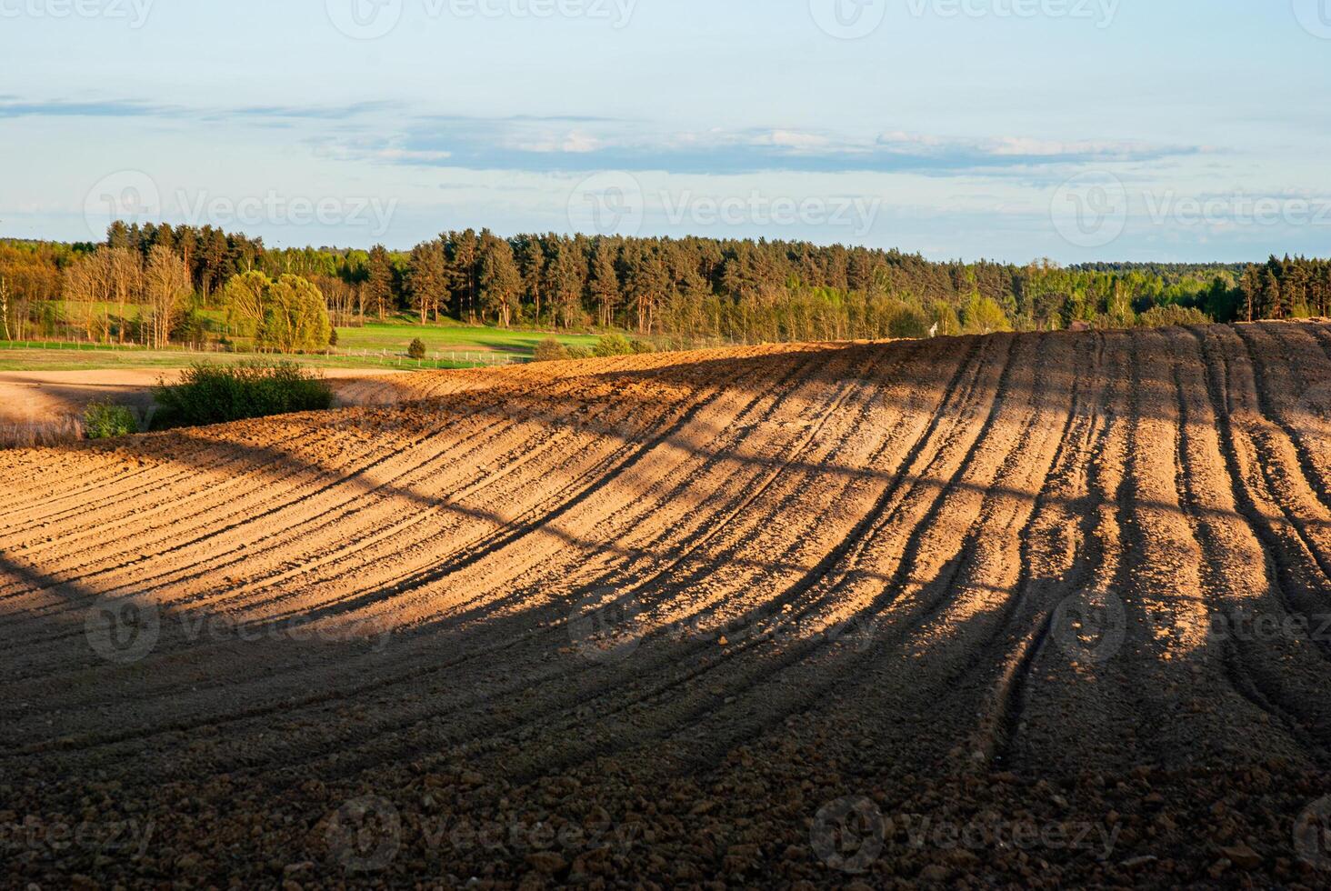 Golden hour light casts long shadows over freshly plowed fields with forested horizon and blue sky in scenic rural landscape photo
