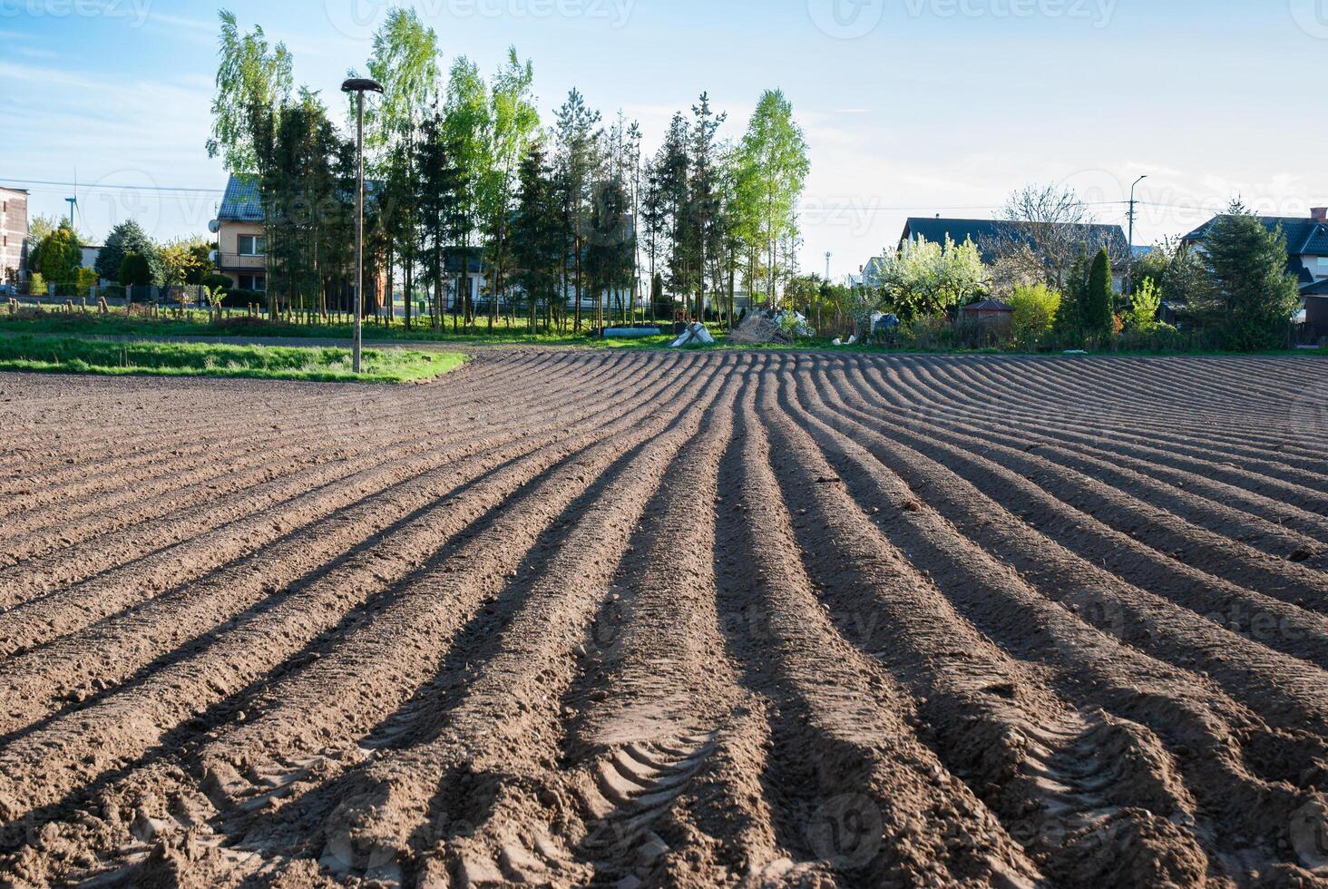 Spring morning on a plowed field with patterns in soil rows, trees and houses in the background, under a clear blue sky photo
