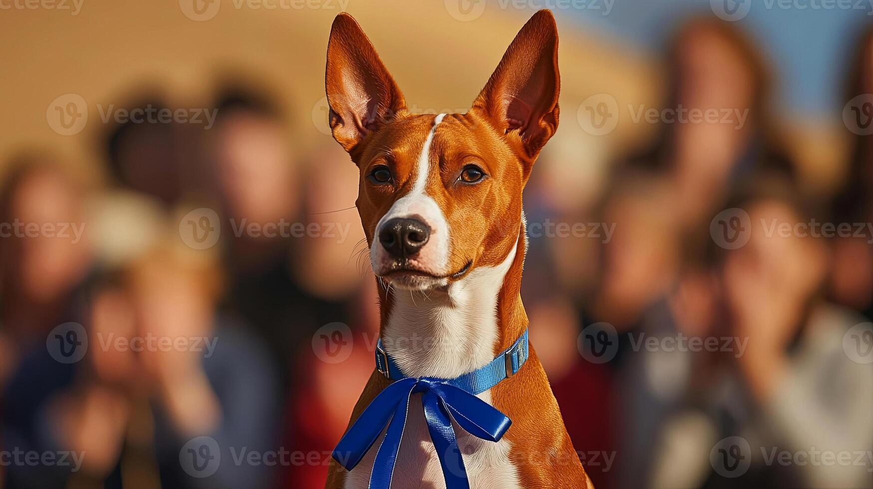 . Dog with a blue ribbon stands proudly in front of an audience, showcasing its beauty and elegance during a competition, highlighting the bond between pets and their owners photo