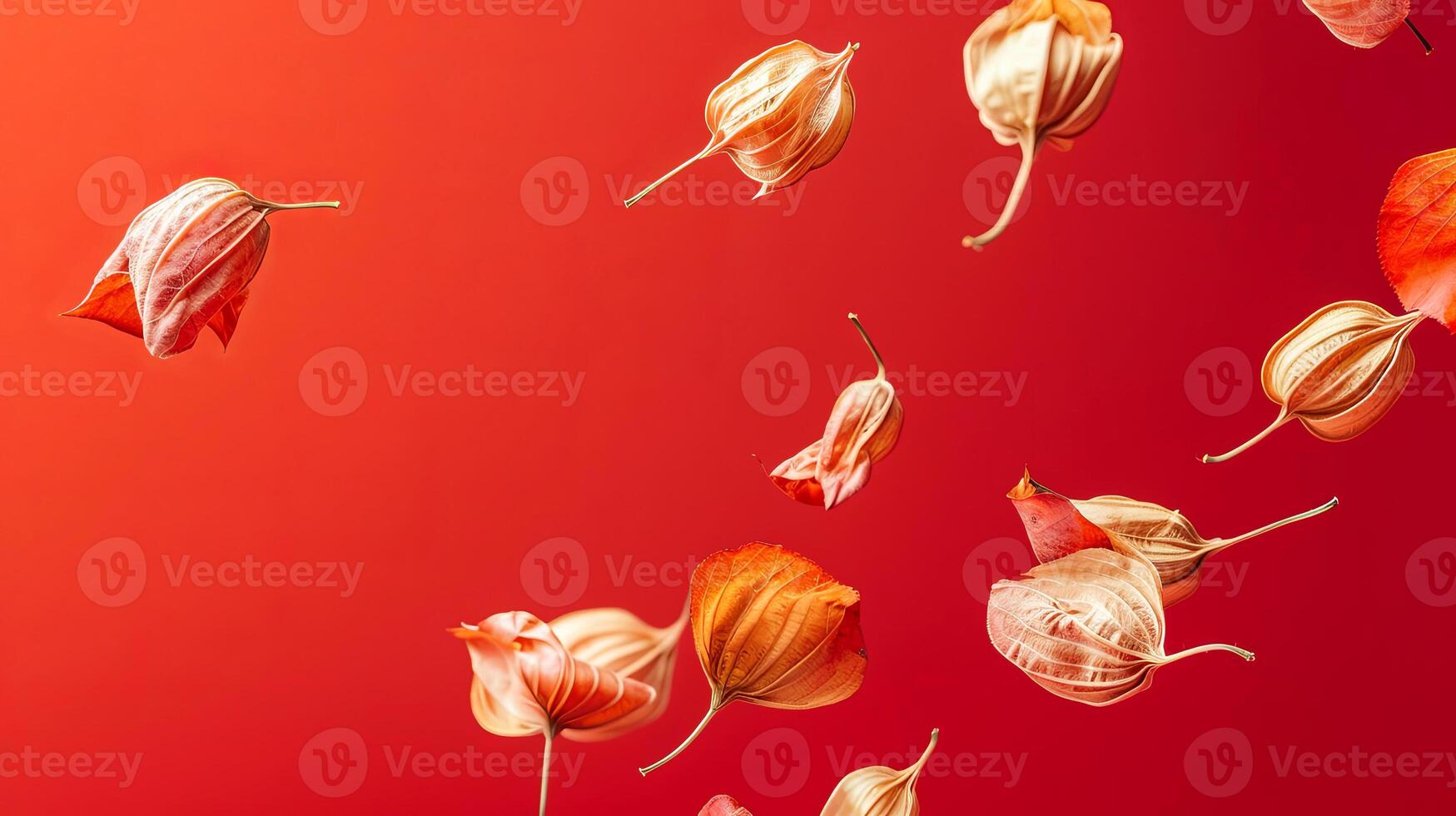 Physalis in shades of orange and gold are gracefully falling against a vibrant red background, creating a dynamic and visually striking composition of nature's beauty photo