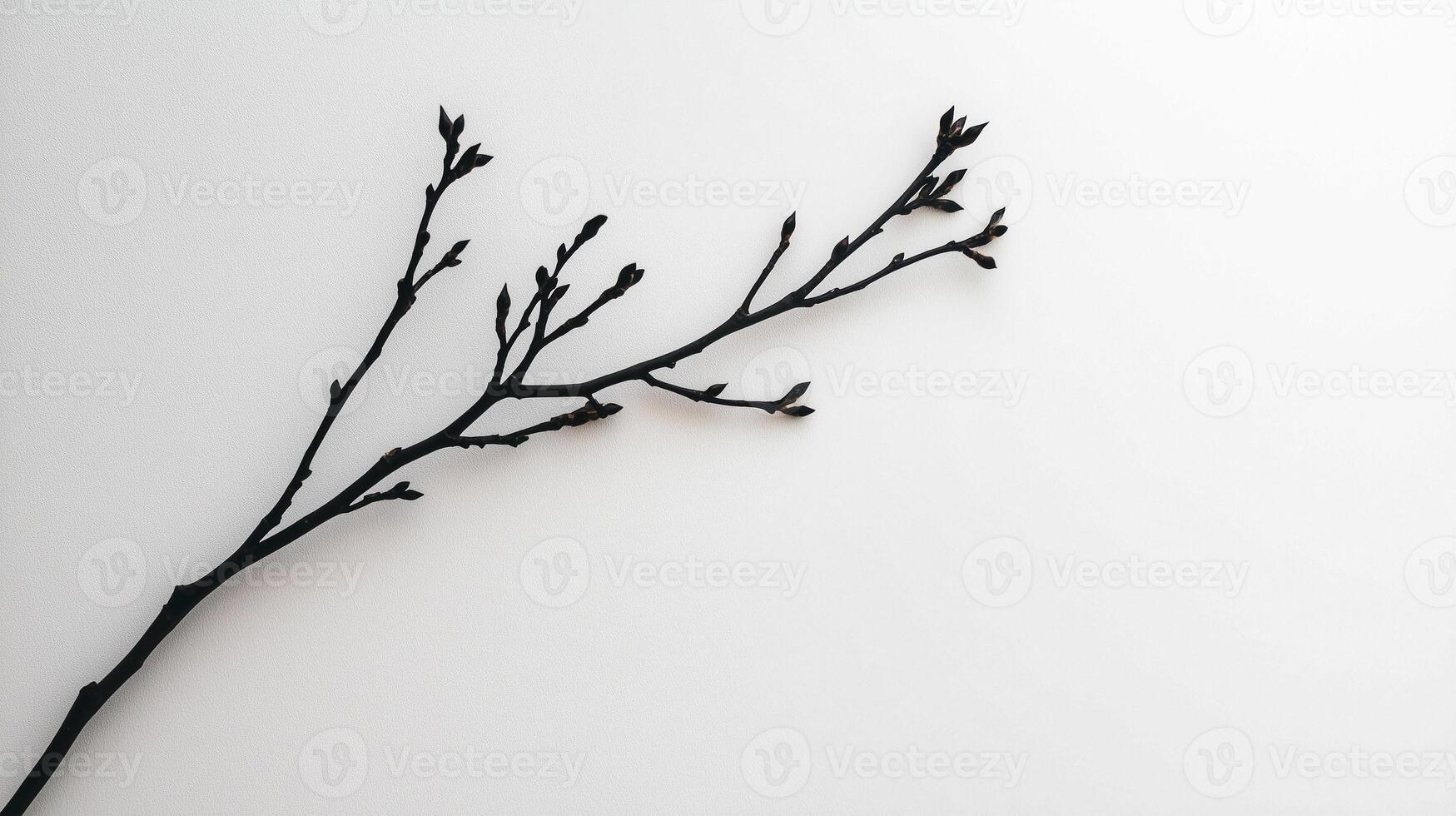 Single branch with intricate details on white background photo