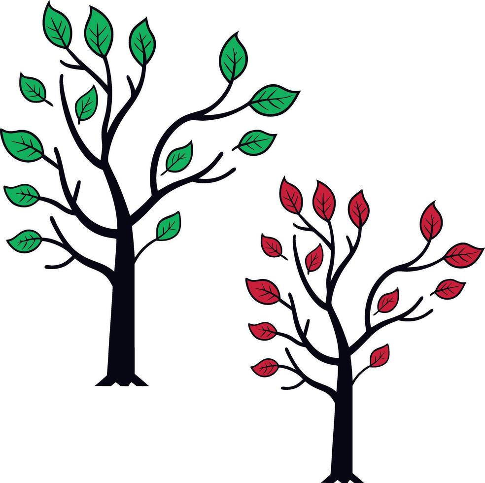 Two Trees Showing Different Color Leaves In Spring and Autumn vector