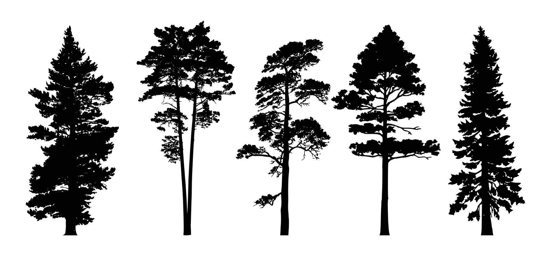 Pine tree silhouette set nature design vector