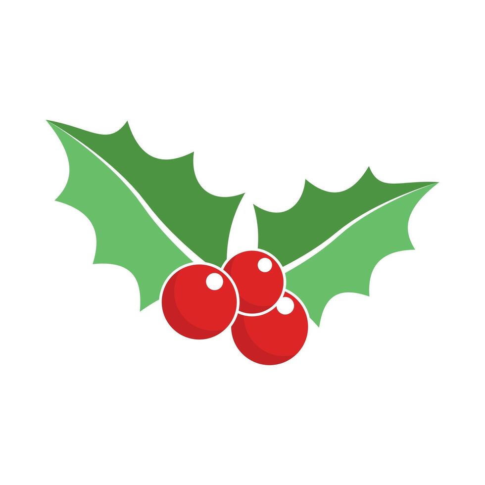 Beautiful Christmas icon with holly berry ornament vector