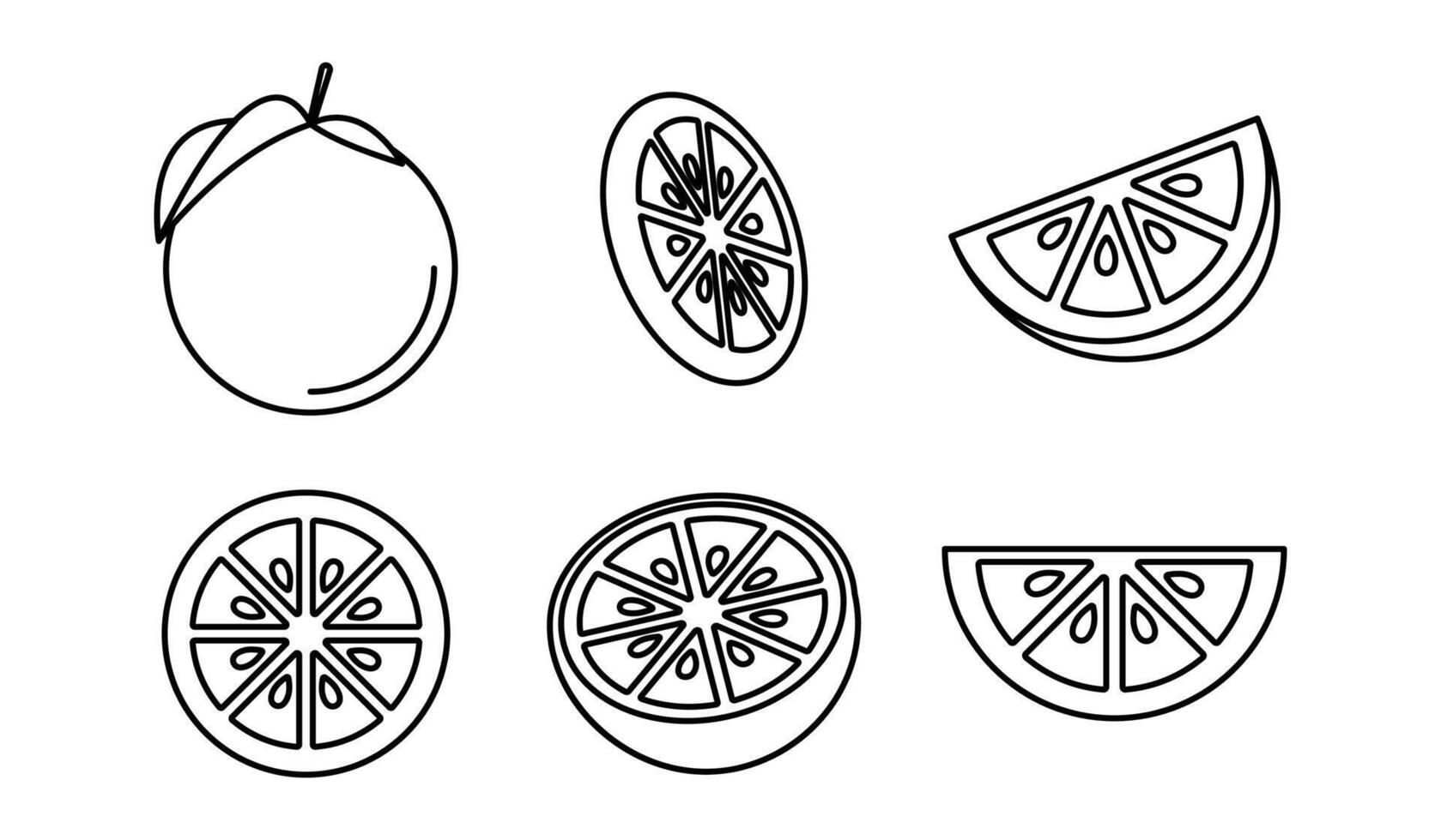 Orange fruit icon set with outline flat style vector