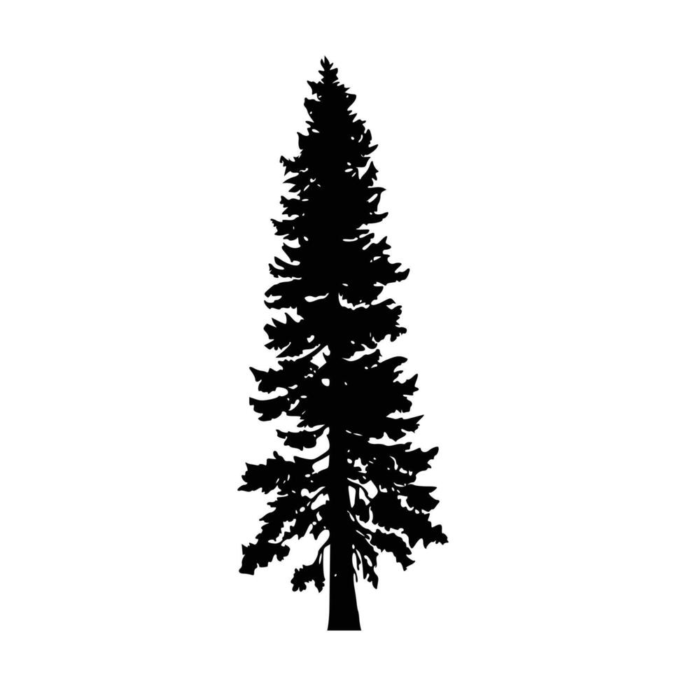 General pine tree silhouette nature design vector