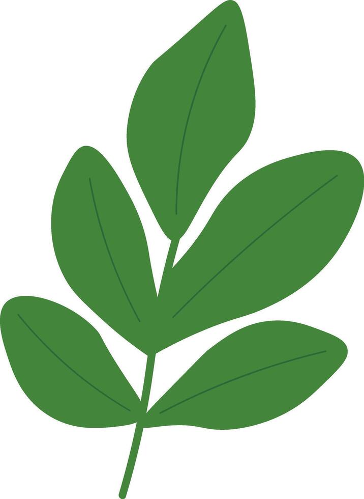 Simple Flat Leaves from Tropical Nature vector