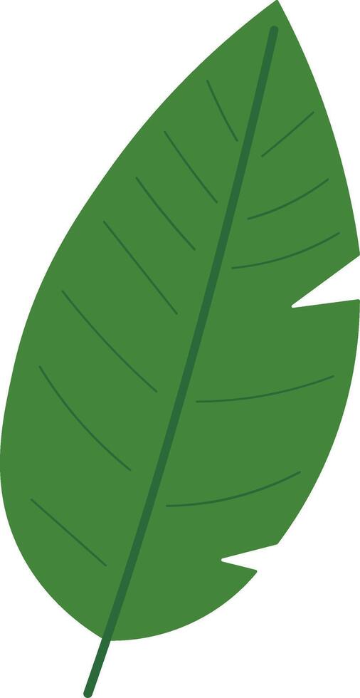Flat Style Green Tropical Leaf Set vector
