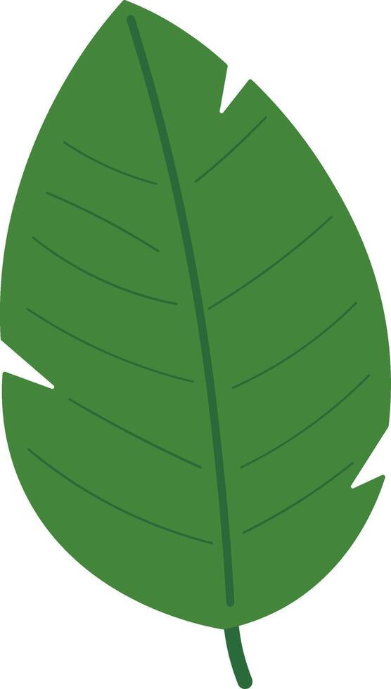 Decorative Green Leaves in Flat Style vector