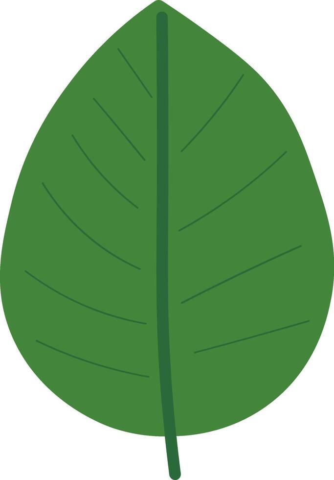 Tropical Garden Leaves in Flat Style vector