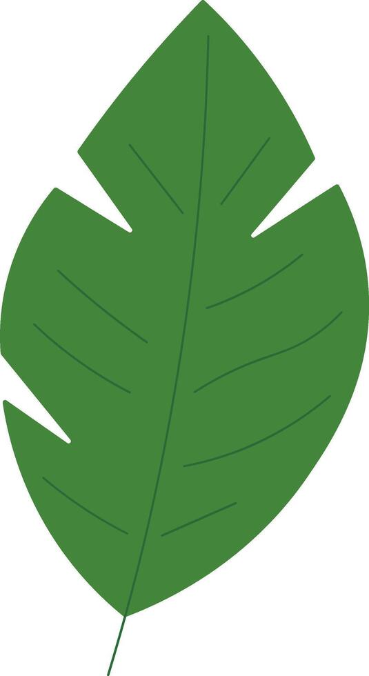 Clean Style Tropical Botanical Leaves vector