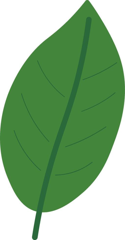 Tropical Leaf Collection in Flat Green vector