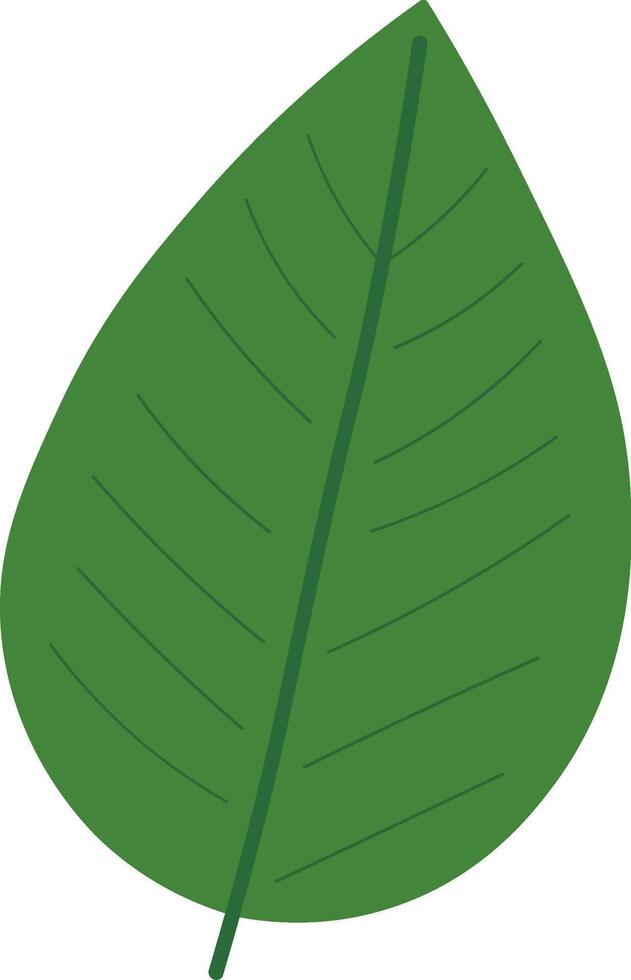 Soft Green Leaf Shapes in Flat Design vector