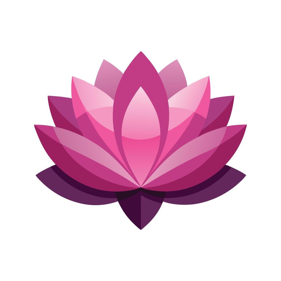 Elegant Pink Lotus Flower vector