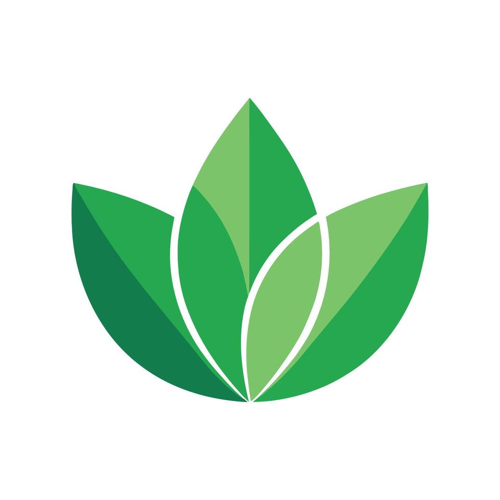 Green Leaf Logo on White Background vector
