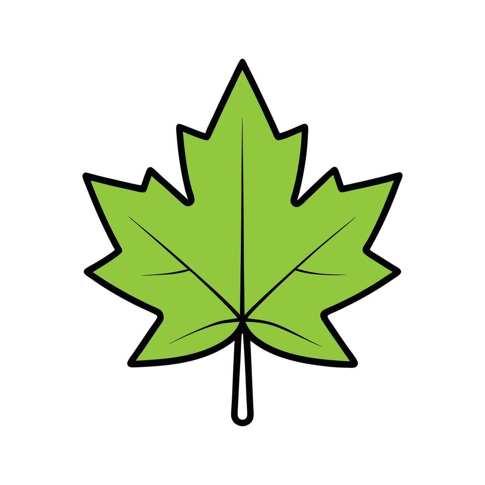 Green Maple Leaf on White Background vector