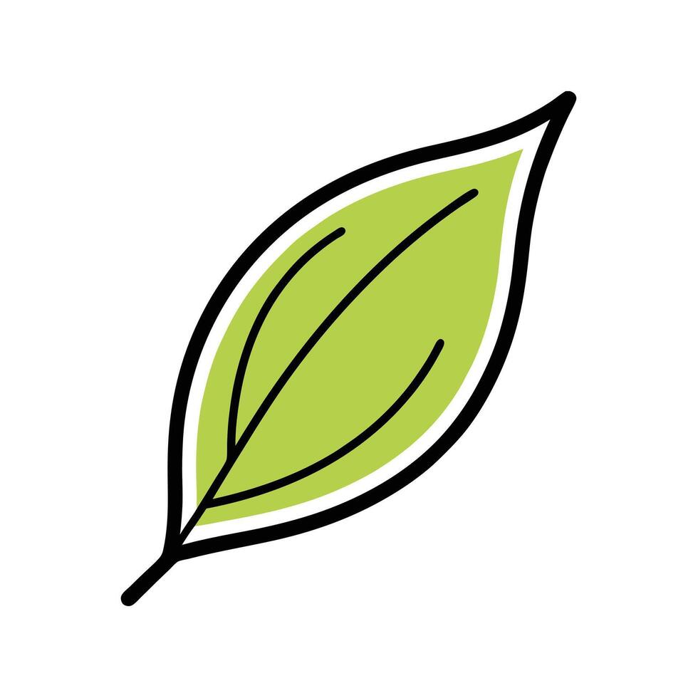 Simple Green Leaf Illustration vector