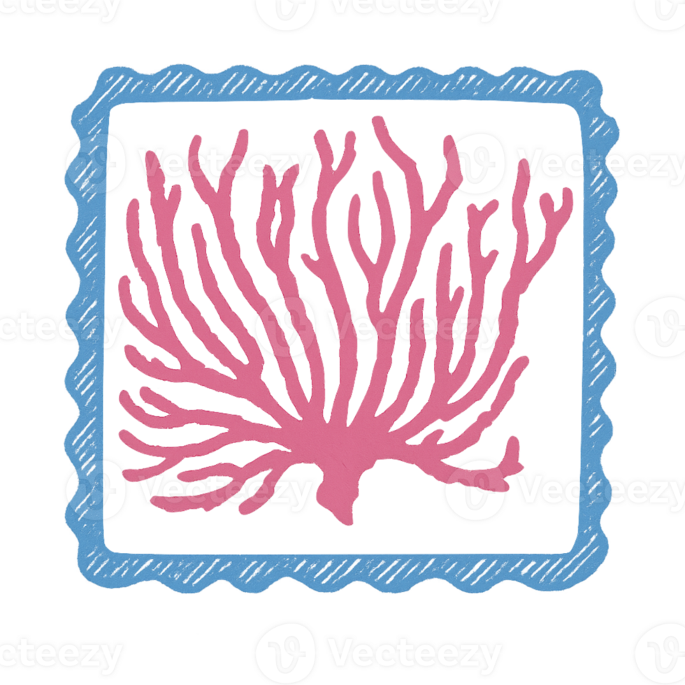 A pink and blue coral in a square frame png