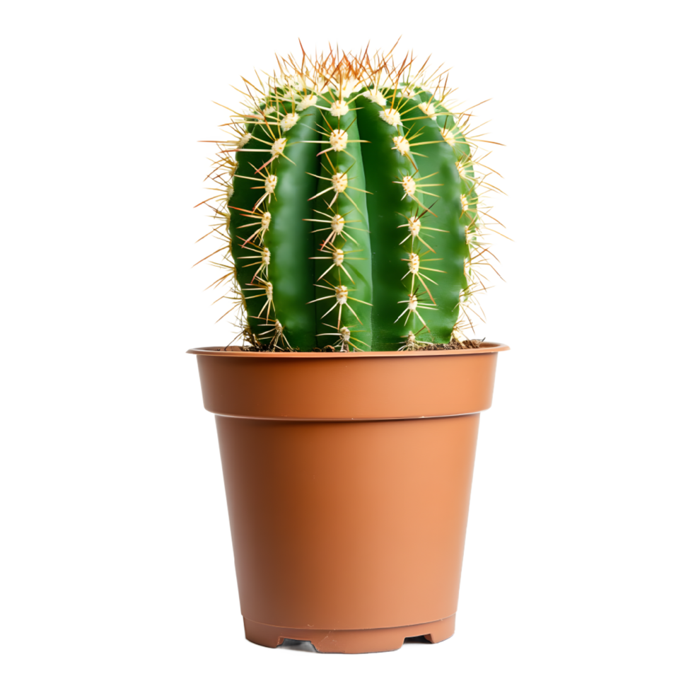 A vibrant green cactus in a terracotta pot against transparent background. png