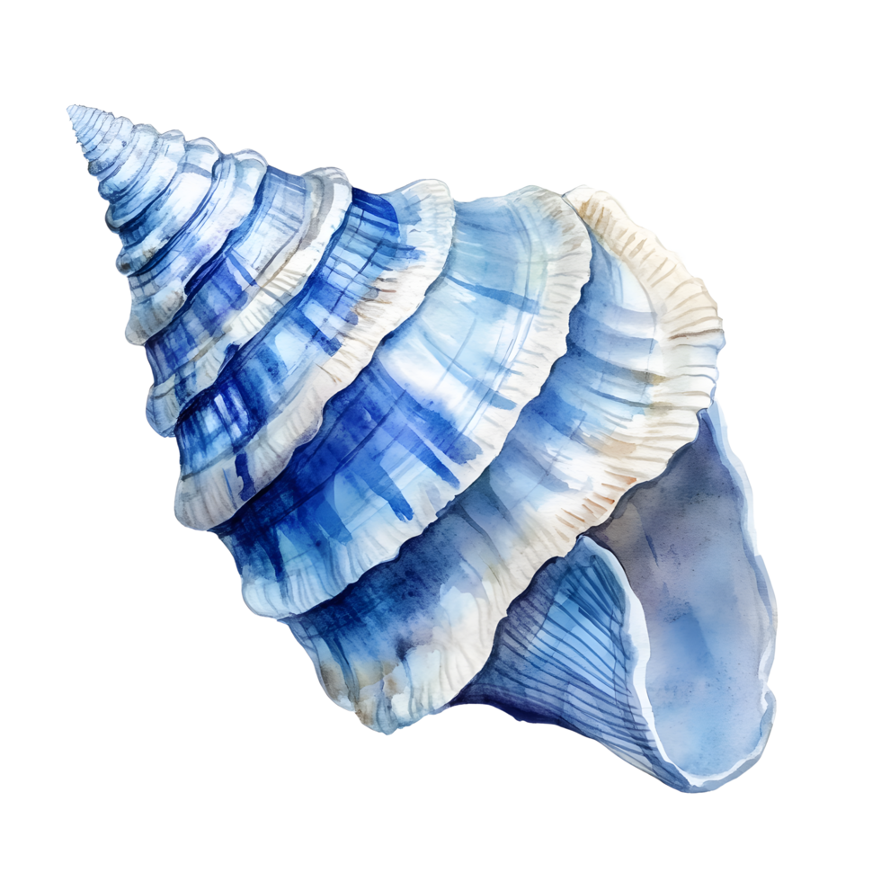 Vibrant Watercolor Illustration of a Detailed Blue Seashell png