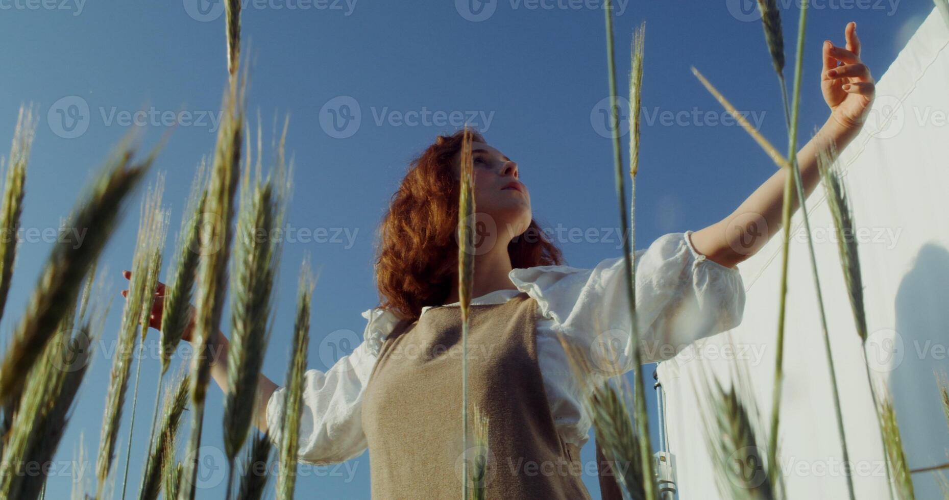 A young beautiful woman is dancing, smoothly moving her hands, closing her eyes in pleasure, posing in a wheat field among the ears, standing in front of a white screen. 4k , red komodo photo
