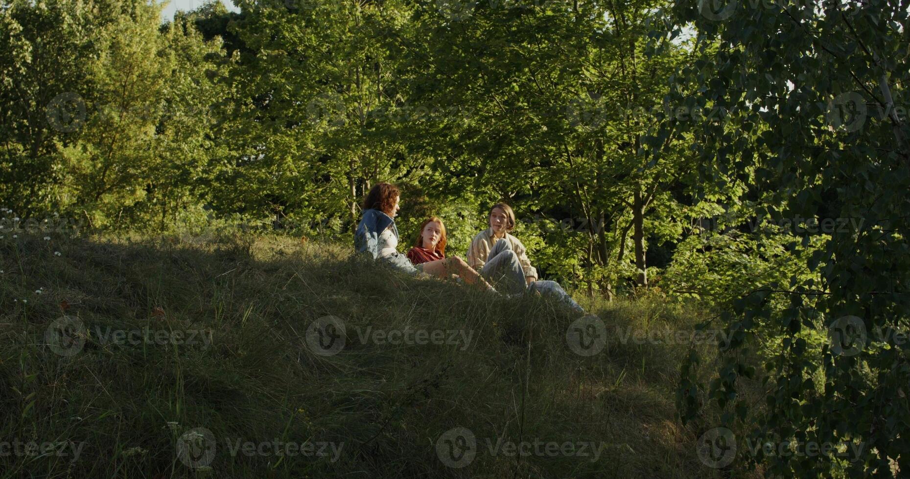 Three friends smiling and talking sitting on the grass on the edge of the forest. A sunny summer day photo
