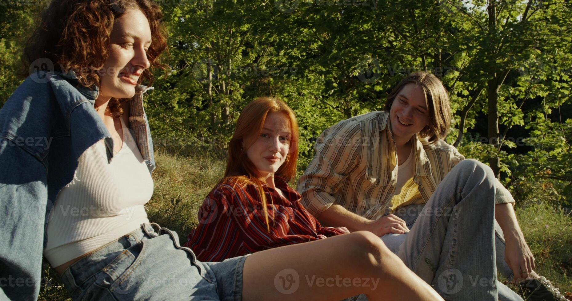 Three friends talking sitting on the grass on the edge of the forest. A sunny summer day photo