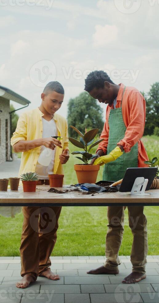A father in an apron and rubber gloves teaches his son to take care of pot flowers standing in the backyard of their house - gloves photo