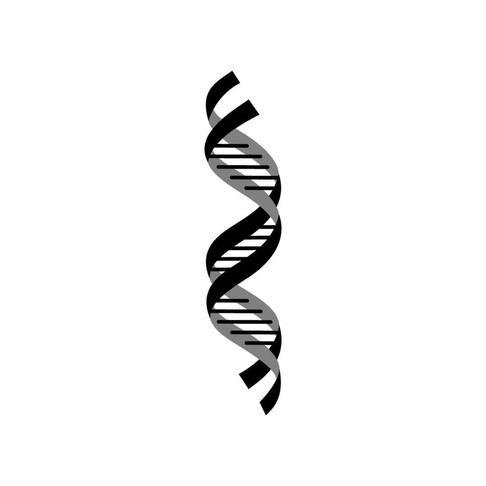 Artistic depiction of DNA double helix with spirals and contrasting colors representing genetic information and structure vector