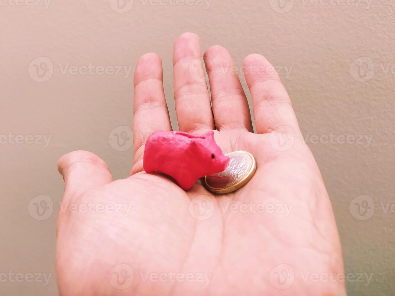 Hand holding a small piggy bank and a coin. Symbol of investment, savings, finance, and financial security. Simple, clean, conceptual. Suitable for wealth mgmt. photo