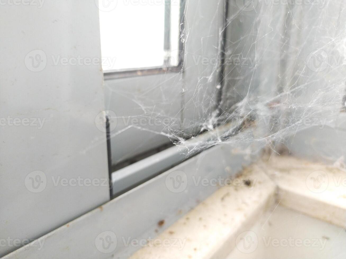 Cobweb detail in a window frame, evoking neglect, decay, or Halloween. Use for themes of abandonment, time passing, or spooky stories. Closeup, textured. photo