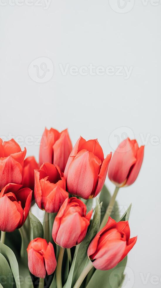 A bouquet filled with bright red tulips showcasing their delicate petals, perfect for brightening up any space or occasion photo