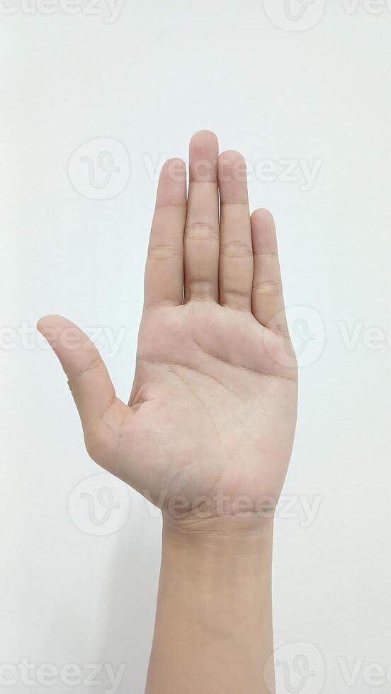 Closeup Asian female hand show Number Five finger, palm hand in front, sign arm and hand isolated on a white background copy space symbol photo