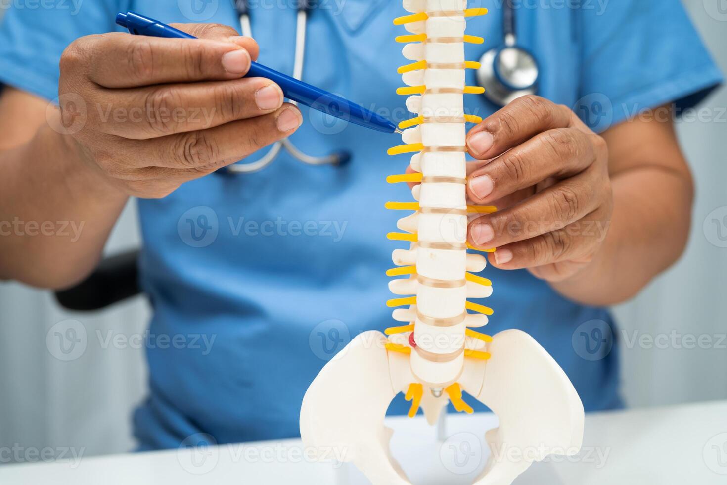 Doctor with lumbar vertebra bone skeleton and nerve model for treatment in photo