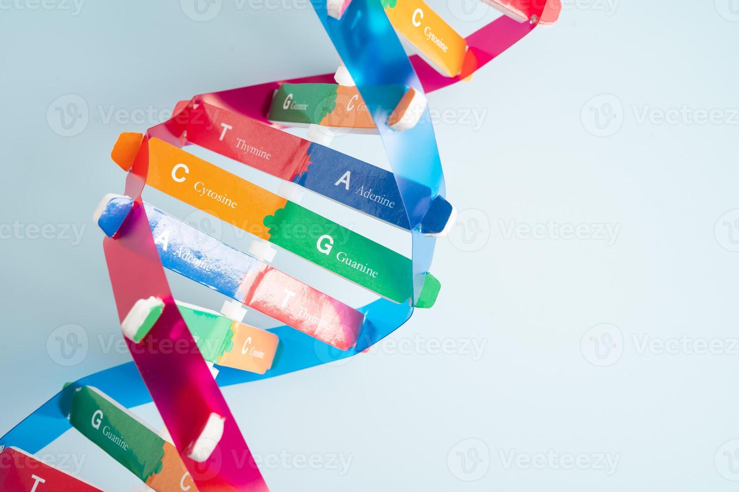 DNA or Deoxyribonucleic acid is a double helix chains structure formed photo