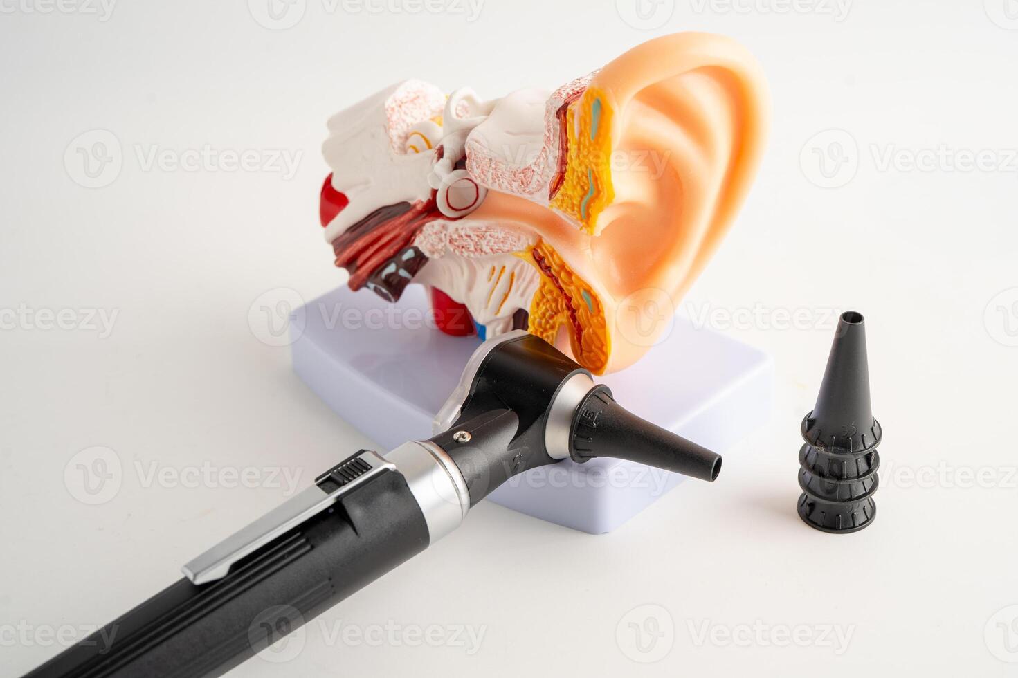 Otoscope with model for audiologist or ENT doctor use otoscope checking ear and treat hearing loss photo
