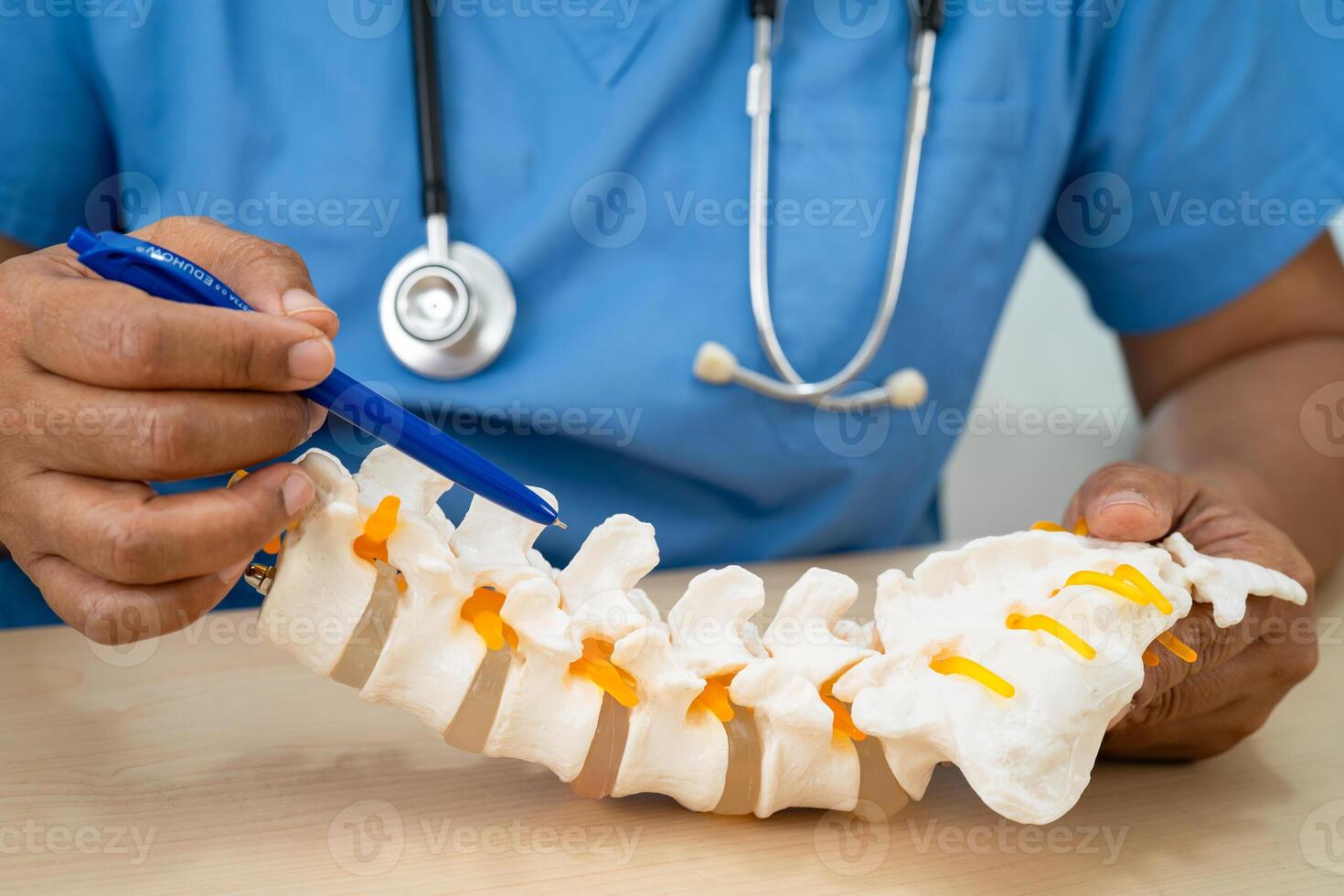 Doctor with lumbar vertebra bone skeleton and nerve model for treatment in orthopedic photo