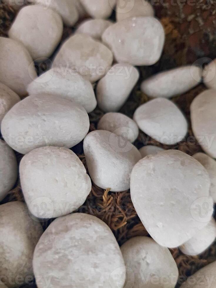 A close-up view of refined white rocks highlights their distinct textures and delicate tonal shifts, while their flawless look captures the essence of modern home decor. photo