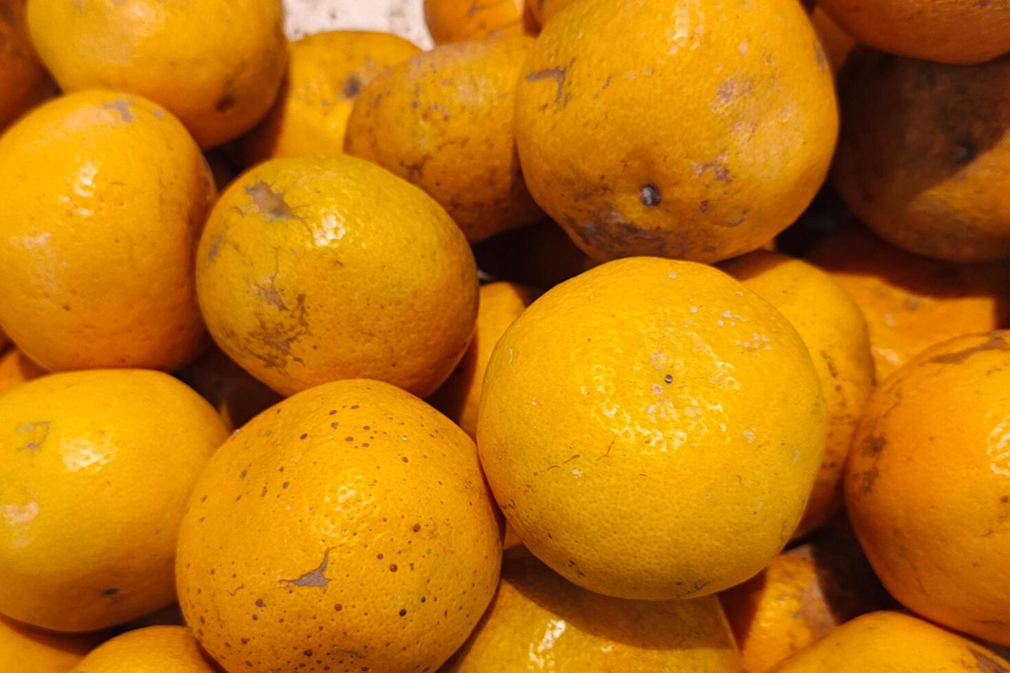 A pile of ripe oranges with blemished skins under bright lighting. photo
