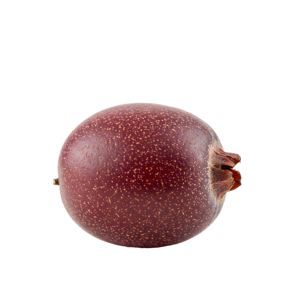 Closeup of a Single Ripe Dark Red Berry on Transparent Background png