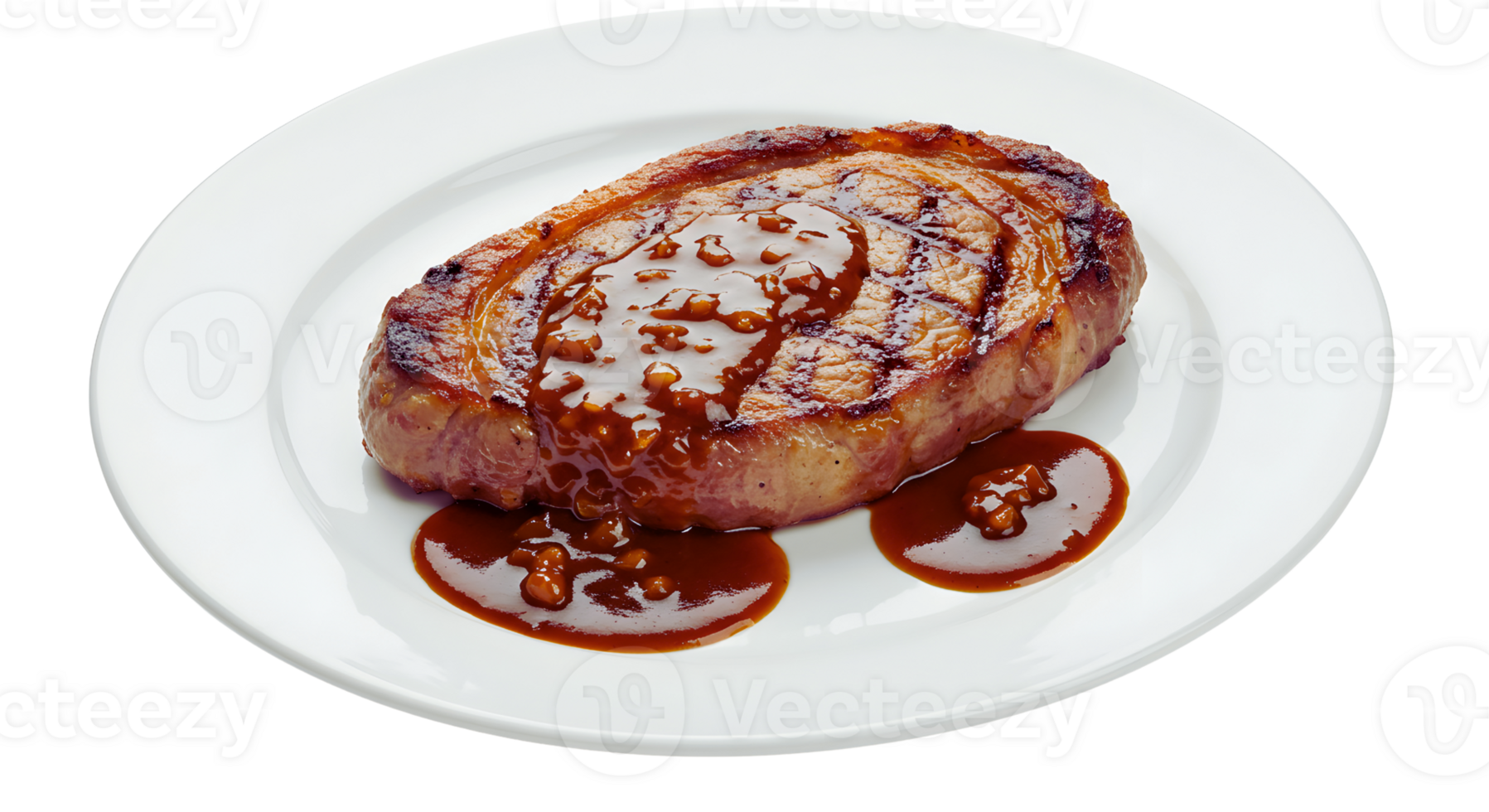 Grilled Steak with Brown Sauce on a White Plate png