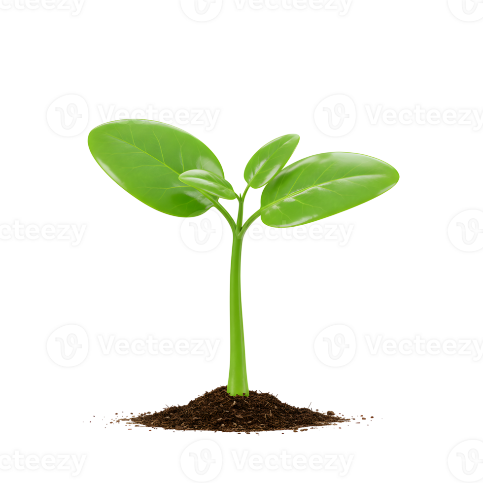 Vibrant Green Seedling Sprouting from Dark Soil png